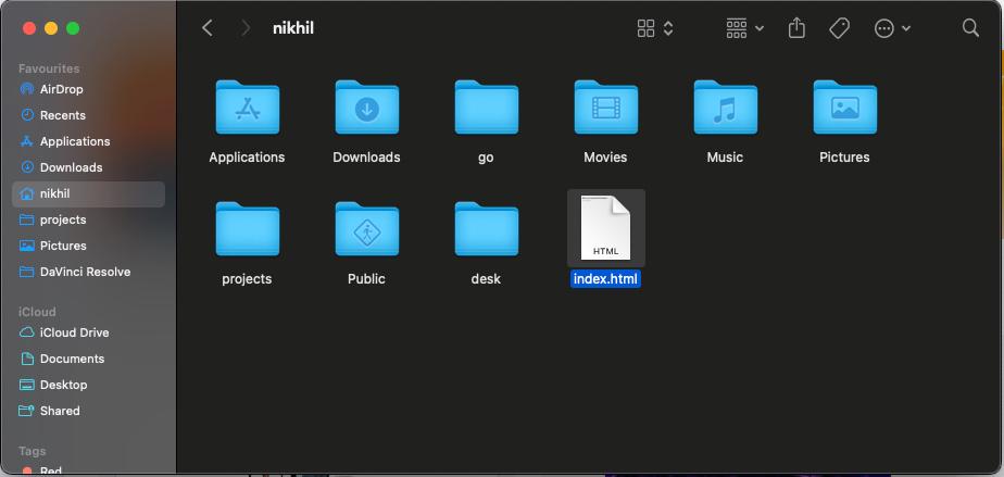 Double click the file